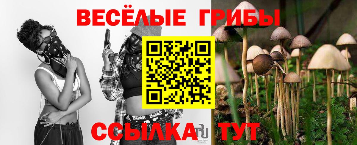 Каннабис  Гашиш  Кокаин  Димитровград  MDMA  Вход с VPN  NBOMe  Мефедрон   Гашиш  Экстази 