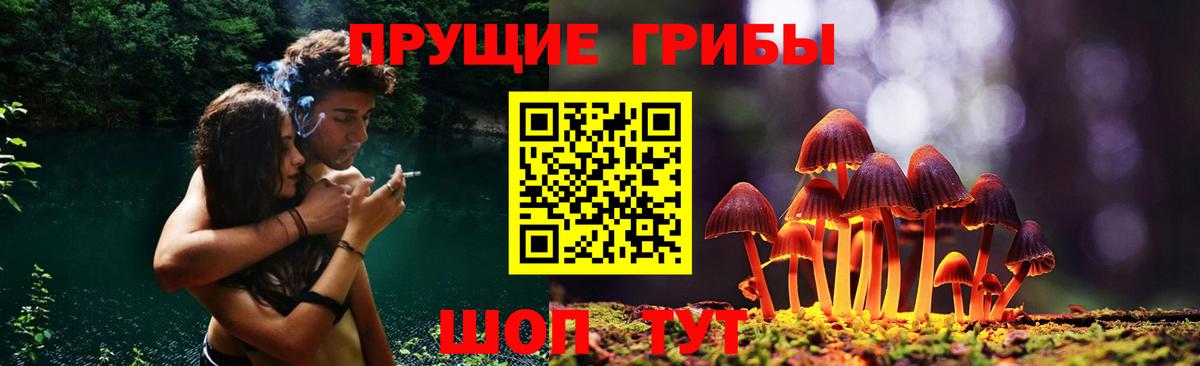 Псилоцибиновые грибы прущие грибы  Вход с VPN  Димитровград  Псилоцибиновые грибы мухоморы 